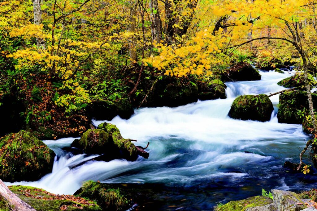 Mountain stream with autumn colours in Japan