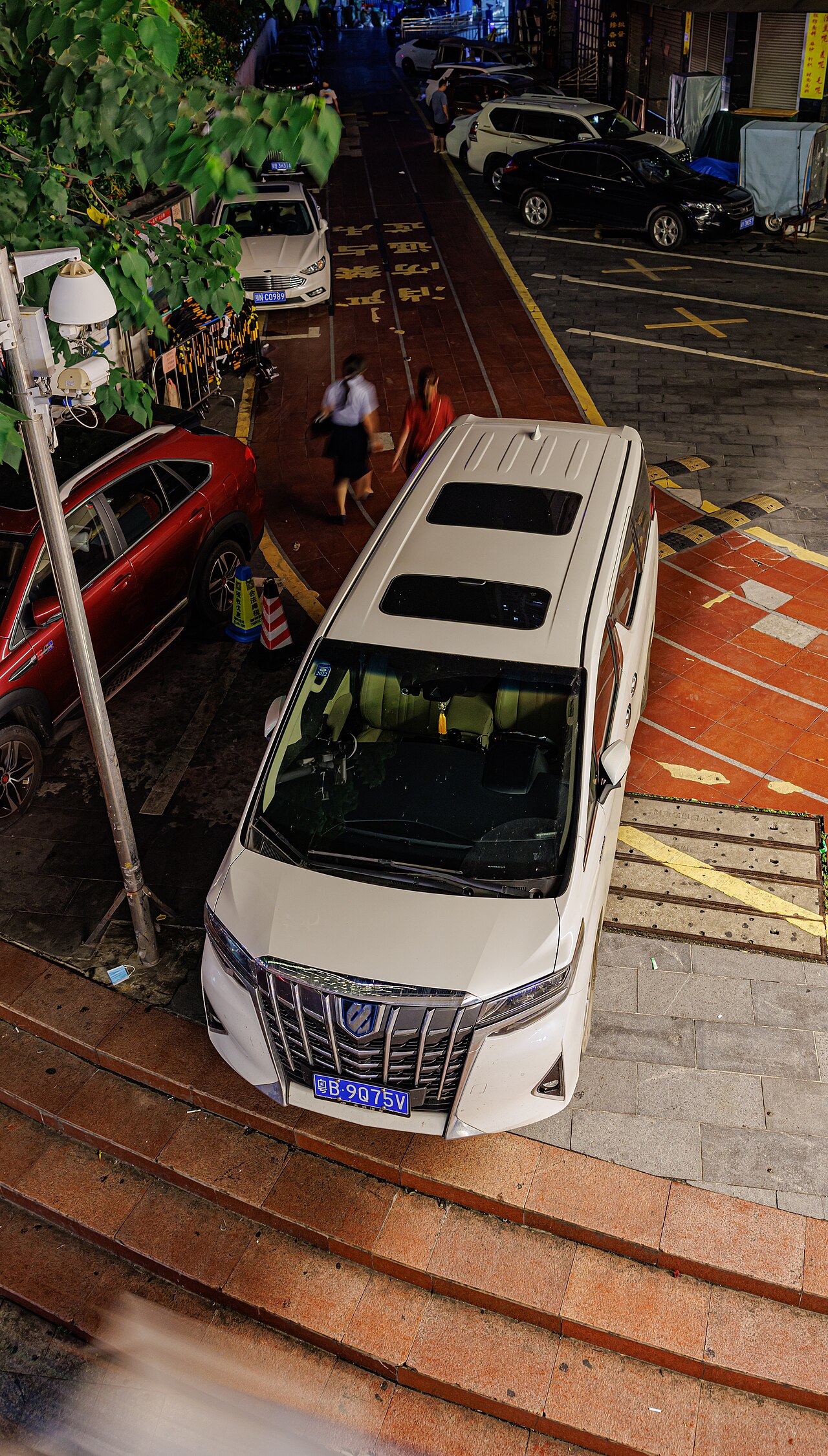 TOYOTA ALPHARD HYBRID (AH30) China (14)