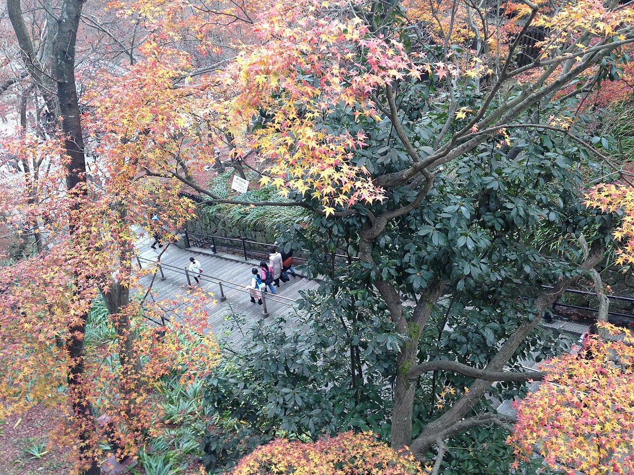 Autumn Leaves in Kiyomizudera Temple 2