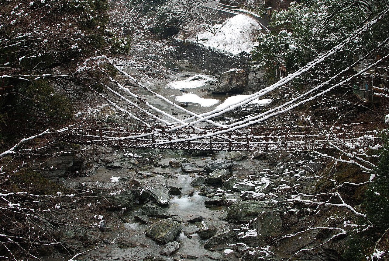 Vine bridge in Iya Valley