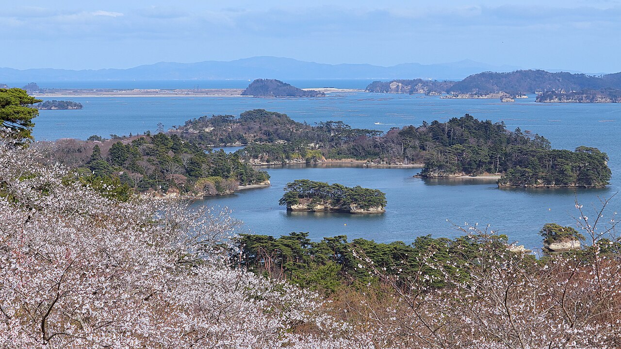 Miyagi Landscape of cherry blossoms and Matsushima Bay xl