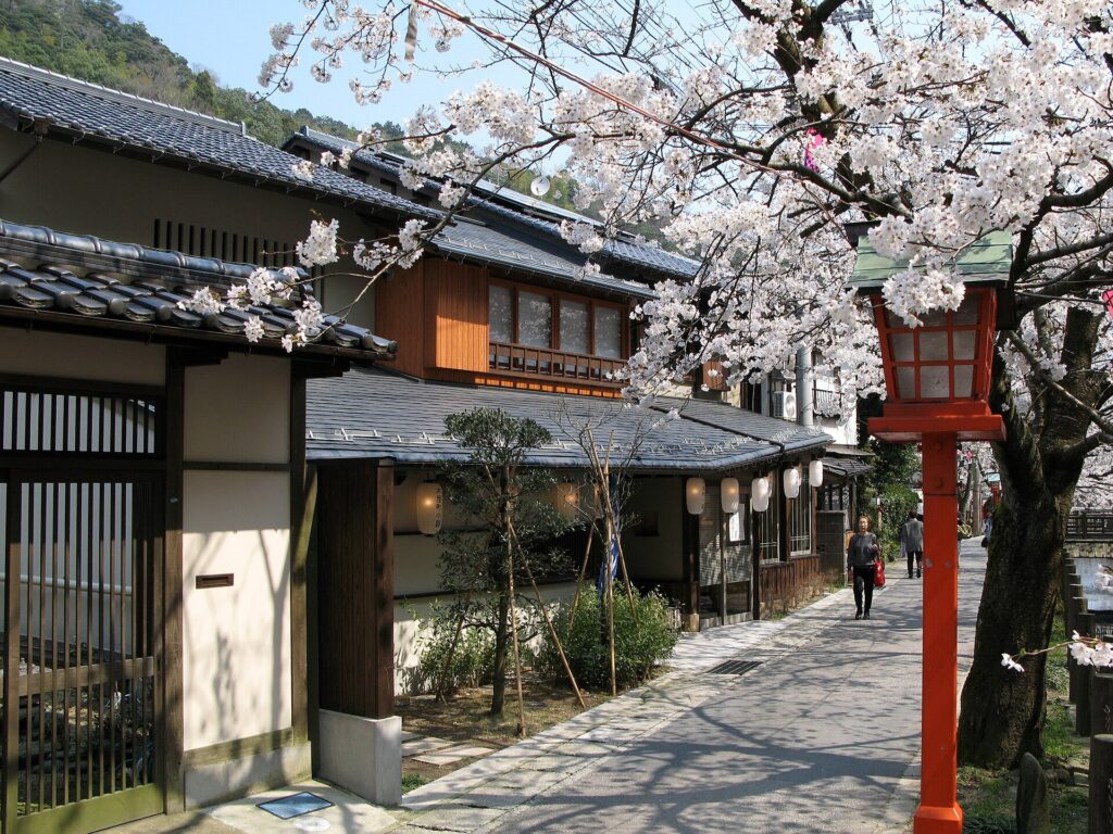 kinosakiSakura