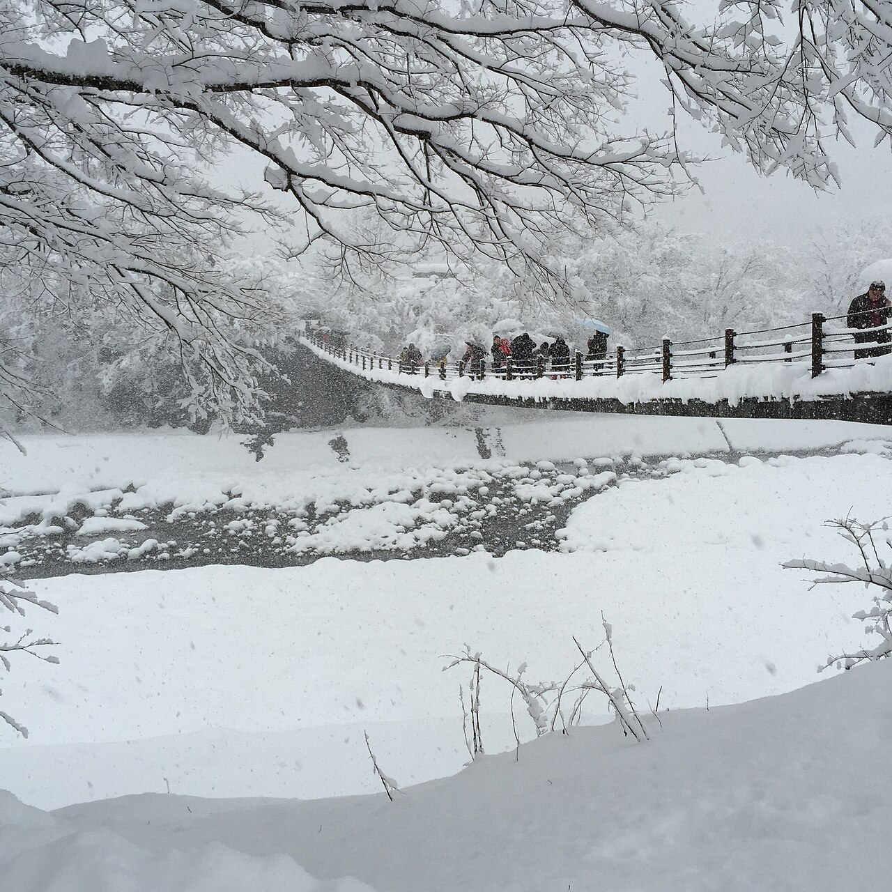 Winter @Shirakawa gō ,So Beautiful, Village of Shirakawa,Gifu Prefecture,Japan panoramio